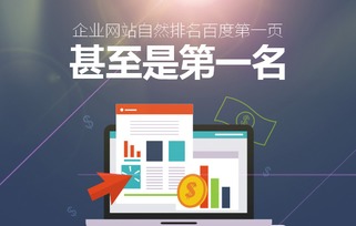 蜂鳥(niǎo)搜索營(yíng)銷系統(tǒng) 上?；ヂ?lián)網(wǎng)推廣公司的創(chuàng)新引擎