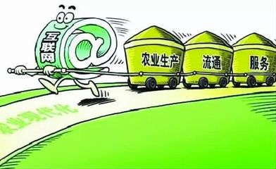 E如皋 以“互聯網+長壽農產品”為引擎，賦能農業轉型新發展
